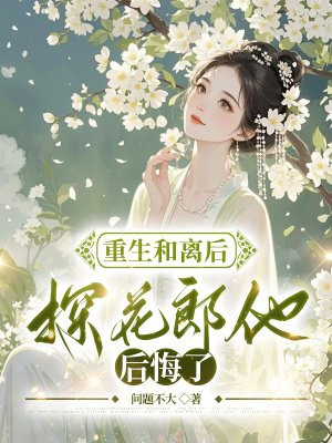 重生和离后，探花郎他后悔了